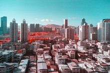 Infrared Photography Of Plants With Cityscape