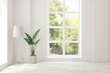 © AntonSh - White empty room with summer landscape in window. Scandinavian interior design. 3D illustration