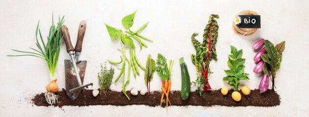 Springtime gardening composition on neutral background.