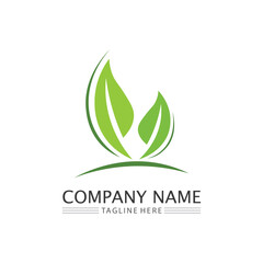 Tree leaf vector and green logo design friendly concept