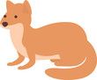 Alaska fox icon cartoon vector. Canada animal. North animal