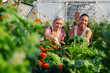 © zorandim75 - Mother and daughter gardening together.Gardening discovering and teaching.