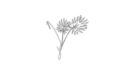 Wall Mural - Animated self drawing of continuous line draw abstract tropical palm faux areca leaf. Minimal natural eco concept. Home wall decor, poster, tote bag, fabric print. Full length single line animation.