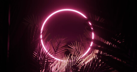 Poster - image of leaves over pink neon circle on black background
