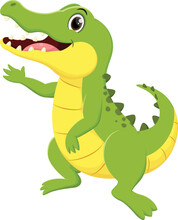 Cute Crocodile Cartoon Presenting , Isolated On White Background