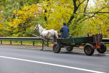 Horse Cart With One People Travelling On It Along The Countryside Road In Ukraine.