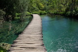 Fototapeta Pomosty - Pomost na jeziorze wokół krystalicznie czysta woda, Plitwickie Jeziora Chorwacja