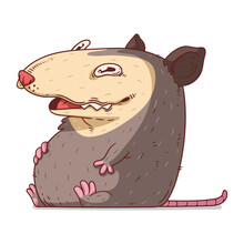 A Possum, Isolated Vector Illustration. Funny Cartoon Picture For Children Of Laughing Opossum Sitting. A Humorous Possum Sticker. Simply Drawn Well-fed Opossum On White Background. A Wild Animal.