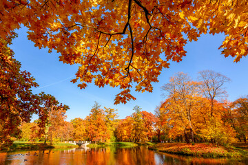 Wall Mural - Alexander park in autumn, Pushkin (Tsarskoe Selo), Saint Petersburg, Russia