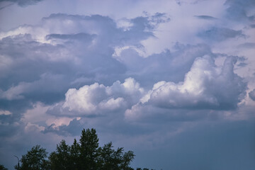 Massive cumulus clouds in an overcast sky and tree foliage silhouette