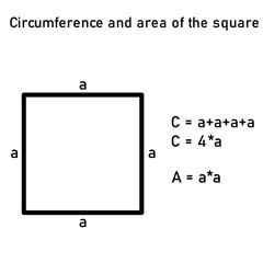 The graphic representation of the circumference and area of a square with an equation