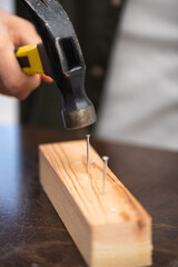 Wall Mural - Cropped view of handyman holding blurred hammer near nails in wooden board