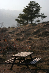 Poster - Foggy day. Wooden picnic table.