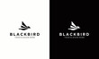 Blackbird abstract modern logo vector simple