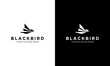 Blackbird abstract modern logo vector simple