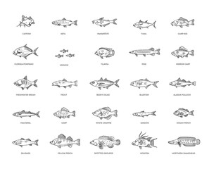 Wall Mural - Types marine, ocean fish and Freshwater fish