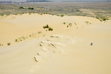 Wall Mural - Sand dunes of the Sarykum dune. A natural monument. Dagestan. Russia