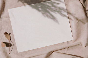 Blank a4 paper mock up with overlay pampas grass shadows. Stationery. Minimalistic workplace. Branding, portfolio, graphic design template.