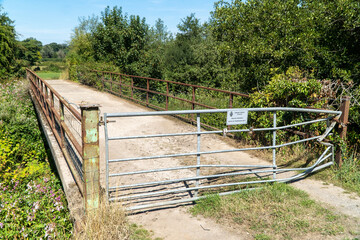 Wall Mural - bridge in the park