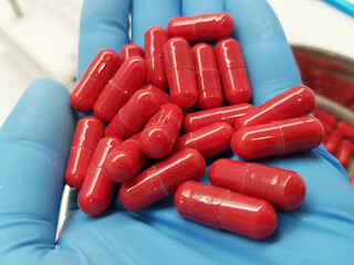 Wall Mural - Making red capsules in the pharmacy laboratory.