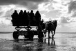 wattwagenfahrt / fahrt mit pferdekutsche im wattenmeer bei ebbe