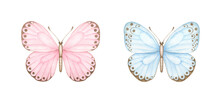 Pink And Blue Butterflies..Watercolor Hand Painted Illustrations Isolated On White Background .