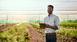 © Chanelle Malambo/peopleimages.com - Modern farmer working on a tablet on a farm and checking plants growth progress with an online app or agriculture management software. Businessman doing inspection of carrot harvest or plantation