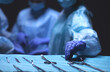© lenets_tan - Team surgeon at work in operating