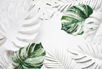 Wall Mural - Collection of tropical leaves,foliage plant in pastel,colorful.