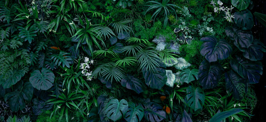 Wall Mural - Full Frame of Green Leaves Pattern Background, Nature Lush Foliage Leaf Texture, tropical leaf