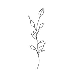 Wall Mural - Line Art Leaves Branch Silhouette Black Sketch on White Background. One Line Beautiful Plant with Leaves. Floral Minimalistic Vector Illustration.