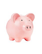 Pink Piggy Bank with transparent background