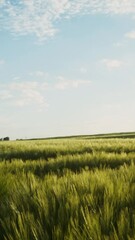 a view of a green valley with a wind generator standing among the fields