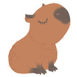 Close Eye - Capybara