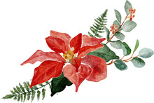 Watercolor Christmas Poinsettia Flower Bouquet Elements