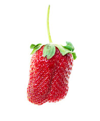 Wall Mural - Juicy red strawberry isolated on white