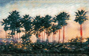 Wall Mural - palm trees at pacific coast at sunset