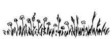 Simple Hand Drawn Vector Charcoal Pencil Drawing. Long Floral Banner, Meadow Flowers Border, Field Herbs, Lawn. Nature And Plants, Wild Pampas Grass.