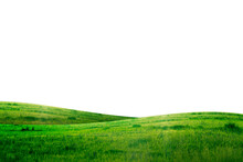 Green Grass Hill Isolated