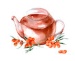Teapot with ripe sea buckthorn berries. Hand drawn watercolor painting isolated on white background