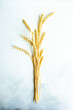 © RooM The Agency - Overhead view of ears of wheat on a table