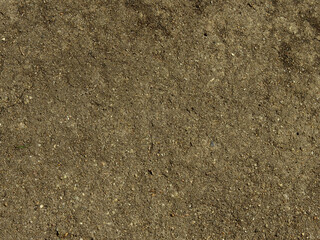 Canvas Print - dirt ground texture or background