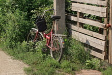 One Old Red Bicycle Stands On The Street In Green Grass And Vegetation Near A Gray Wooden Fence