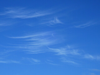 Wall Mural - cloud in blue sky background