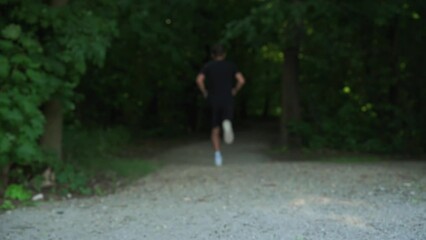 Wall Mural - Male runner jogging at park. Back view of sport wearing man running outdoors. Fitness, cardio and healthy lifestyle concept