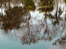Abstract Water Reflection Of The View In The Park On The Pond