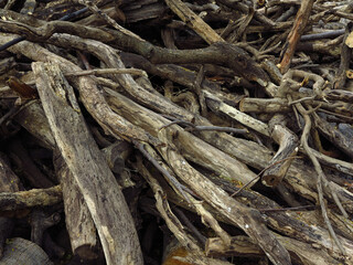 Wall Mural - pile of dry branch for fuel