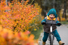A Cheerful Little Boy Rides A Bicycle Outdoors. A Happy Child Walks In The Autumn Park. The Baby Is Dressed In A Fashionable Vest And Overalls.