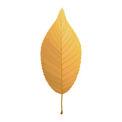 Wall Mural - Vector illustration of an autumn yellow leaf isolated on background.