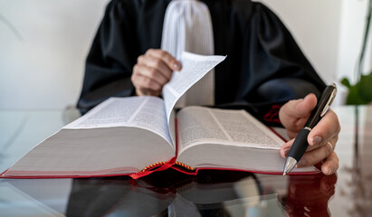 Wall Mural - Female lawyer working with the red book of French laws